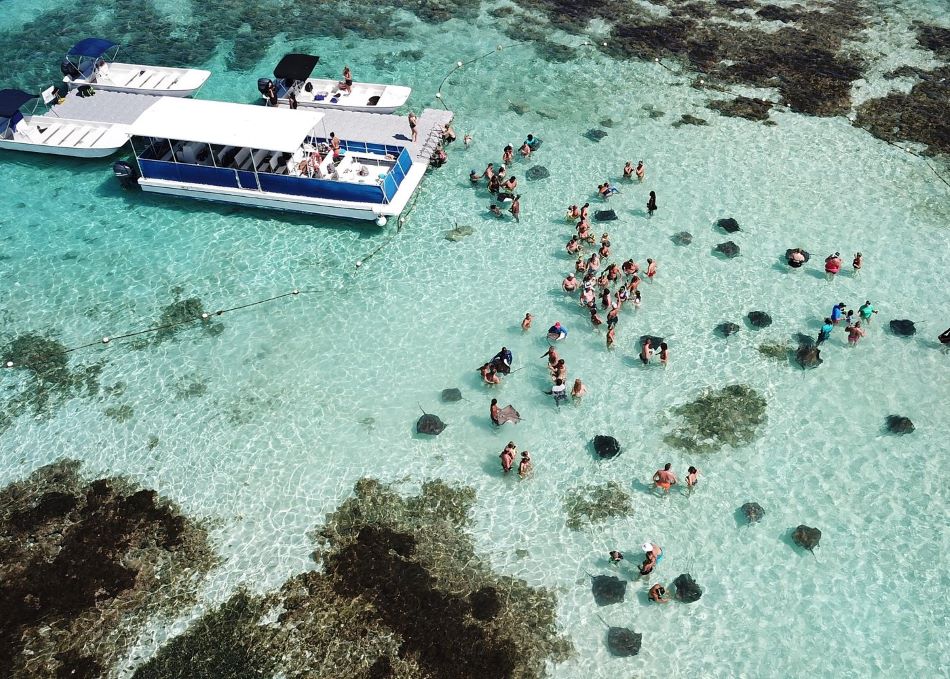 Stingray and marine adventure in Antigua